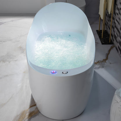 Woodbridge BJ700 71" Heated Whirlpool & Air Bath | Single Slipper Freestanding Tub