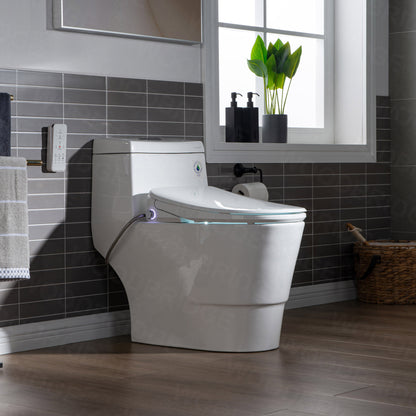 WOODBRIDGE T-0041 | One-Piece Smart Bidet Toilet | with Heated Seat, Warm Air Dryer & LED Night Light