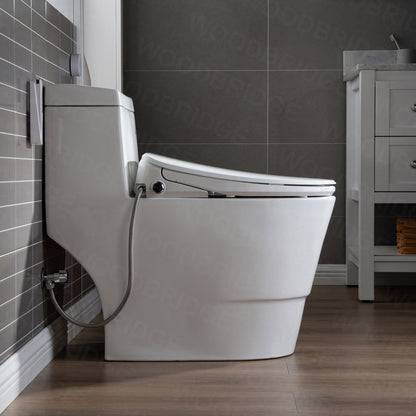 WOODBRIDGE T-0041 | One-Piece Smart Bidet Toilet | with Heated Seat, Warm Air Dryer & LED Night Light