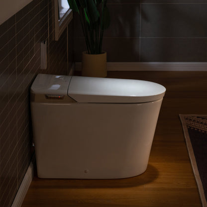 WOODBRIDGE EBT470 | Smart Bidet Toilet | Foot Sensor Auto Open/Close & Quiet Flush | Warm Air Dryer| Nightlight
