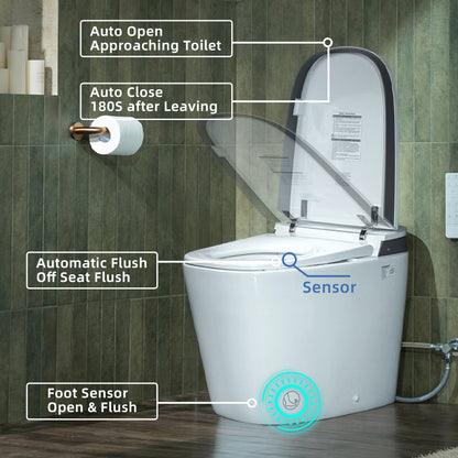 WOODBRIDGE EBT350 | ADA-Compliant Smart Bidet Toilet | Automatic Open/Close Lid | Heated Seat | Auto Flush