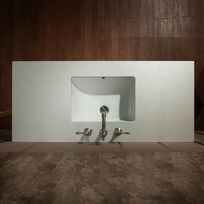WOODBRIDGE 49" | Single Sink Bathroom Vanity | with Engineered Stone Top, Solid Wood Frame, Soft-Close Drawers