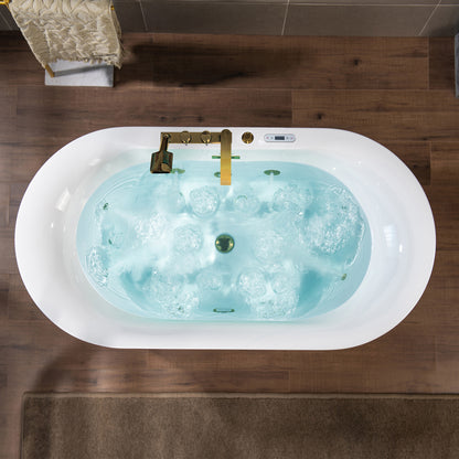 WOODBRIDGE BG100+F0045BG | 59" x 31-1/2" Whirlpool and Air Bath Heated Soaking Combo Tub with Brushed Gold Faucet