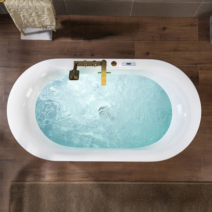 WOODBRIDGE BG100+F0045BG | 59" x 31-1/2" Whirlpool and Air Bath Heated Soaking Combo Tub with Brushed Gold Faucet
